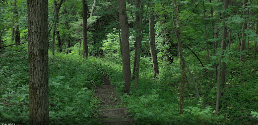 Hagge Park Trail