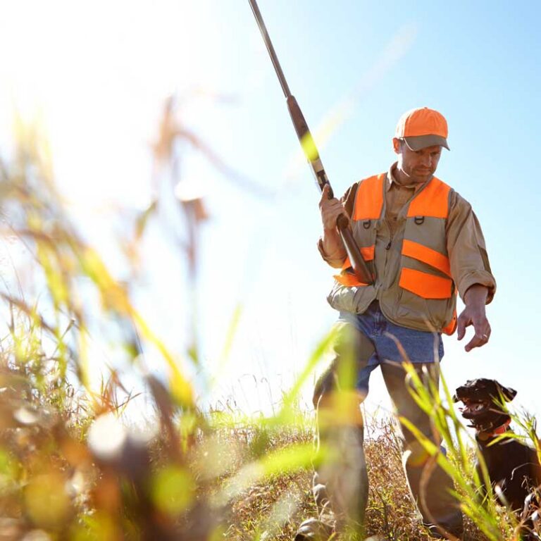 heasant hunter and bird dog on public prairie in Sac County, Iowa