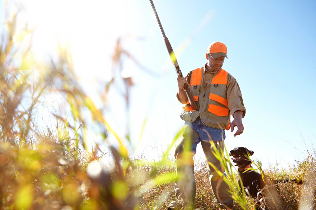 heasant hunter and bird dog on public prairie in Sac County, Iowa